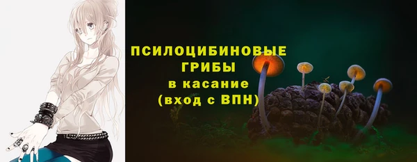 бошки Алзамай