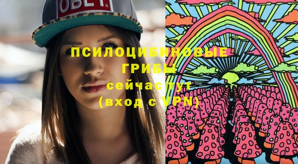 бошки Алзамай
