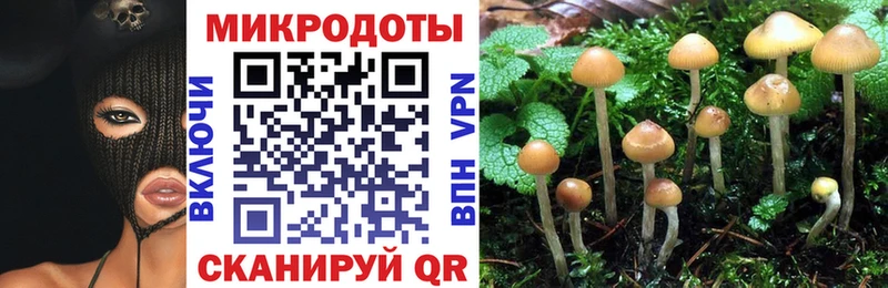 Псилоцибиновые грибы Magic Shrooms  Снежногорск 